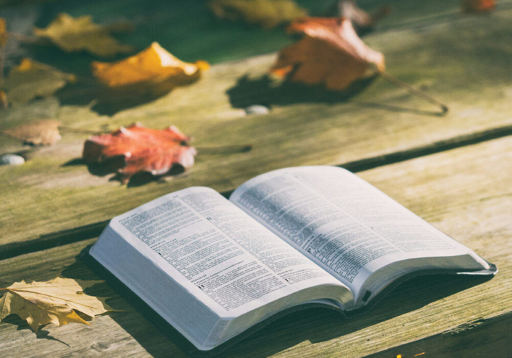bible outside on table during fall