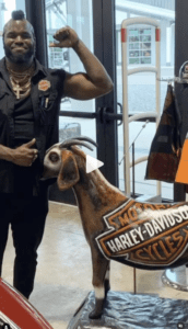 Project GOAT Harley Davidson